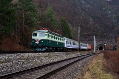 E499 062|cernovec|57 zobrazen|16.03.2025