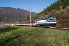 1762454464.jpg