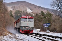 1767116100.jpg
