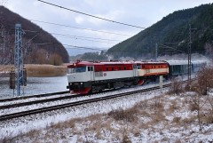 1767116946.jpg