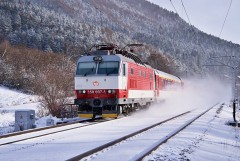 1767181986.jpg